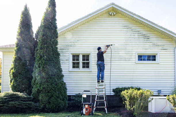 Best Roof Pressure Washing  in Newport, OH